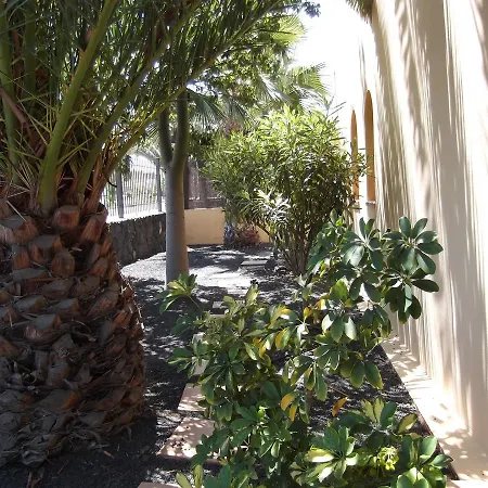 Marvida * コラレホ